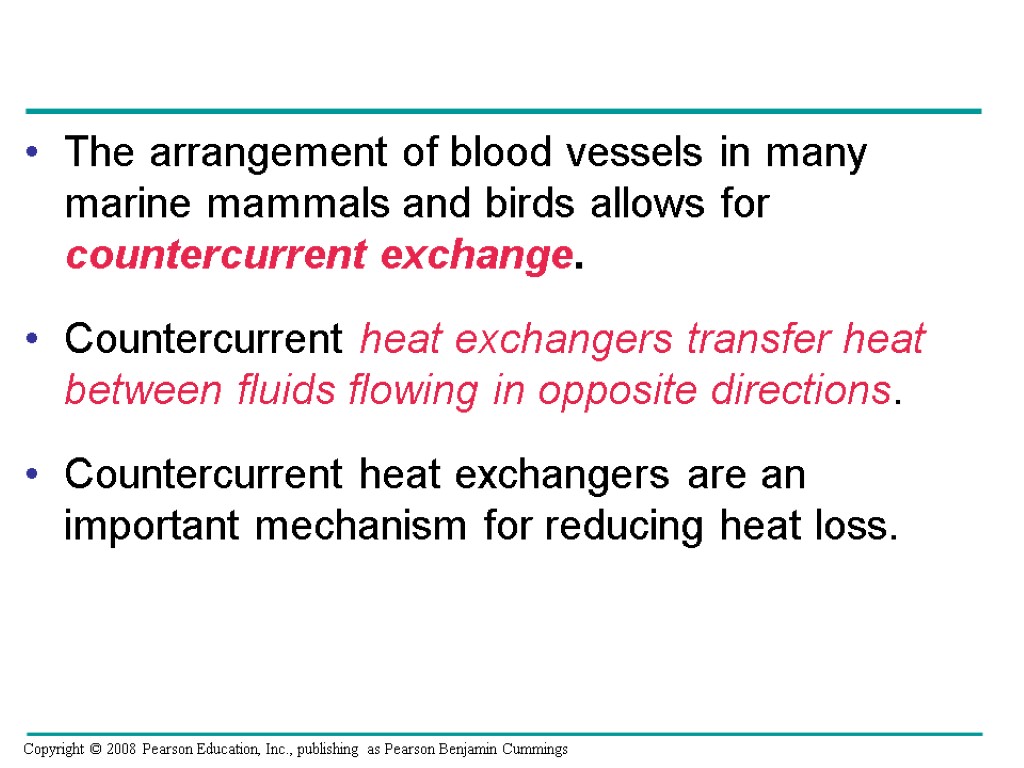 The arrangement of blood vessels in many marine mammals and birds allows for countercurrent